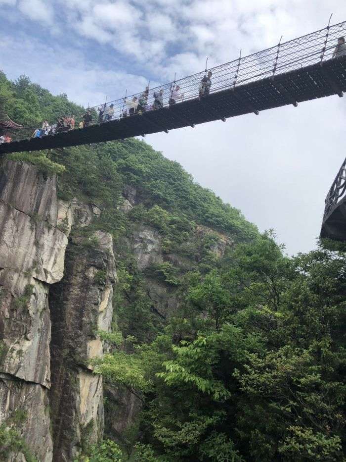 微信图片_20190604084523